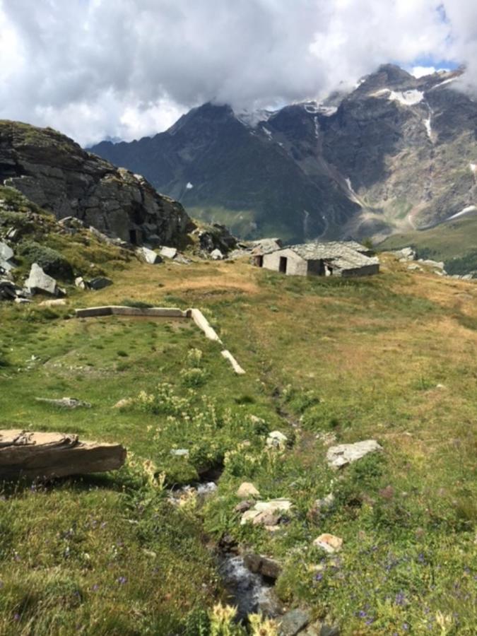 Casa Cervinia Circus Lägenhet Breuil-Cervinia Exteriör bild