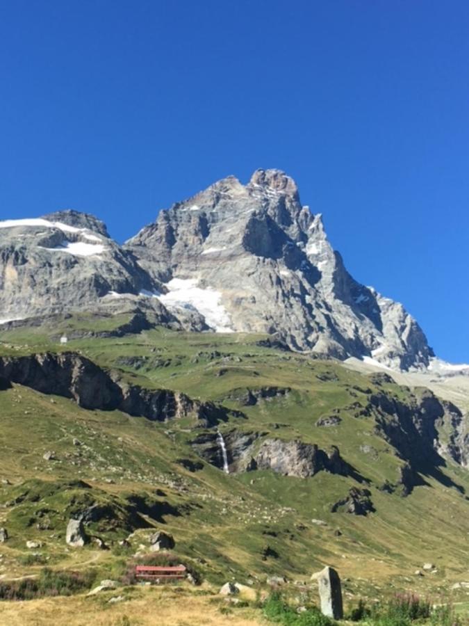 Casa Cervinia Circus Lägenhet Breuil-Cervinia Exteriör bild